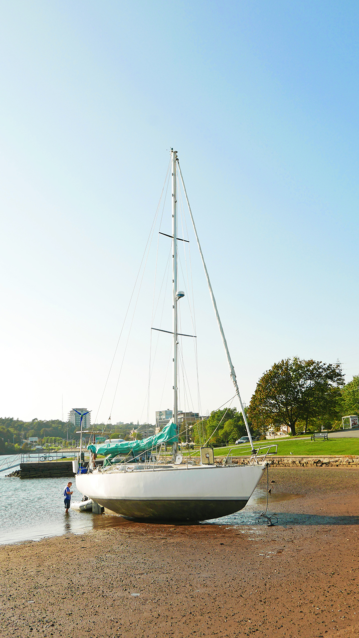 HFAX_NetzahCareen1BLOG