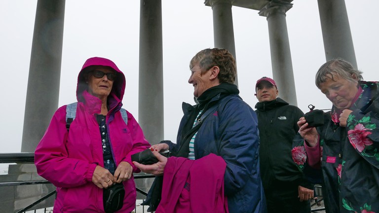 PLYM_PinkLadies_BLOG