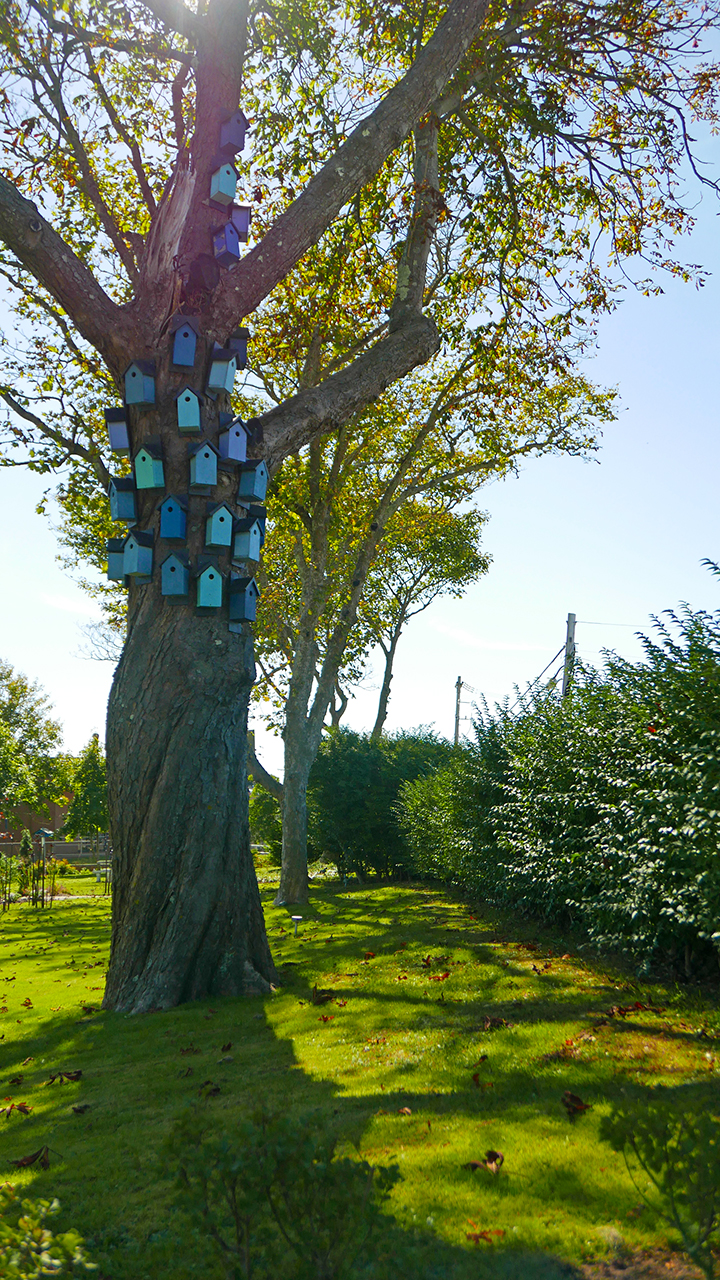YAR_Birdhouses_BLOG