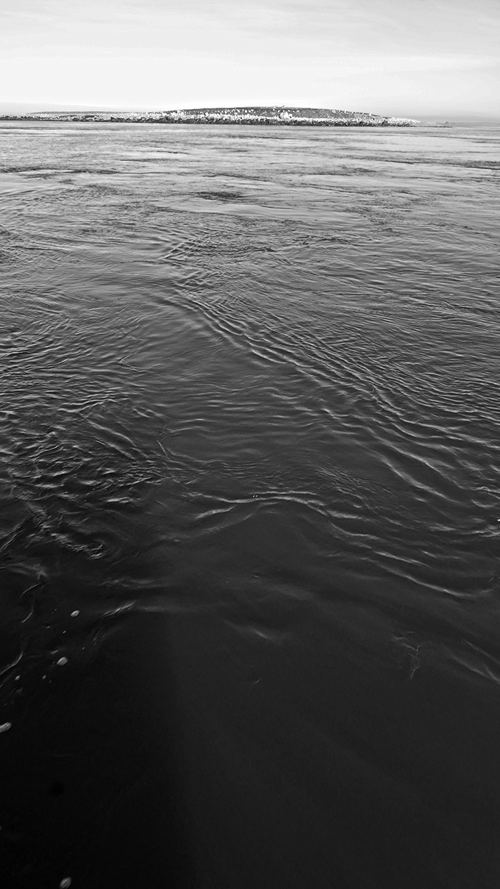 YAR_Eddys3_BLOG