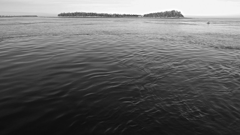 YAR_Eddys_BLOG