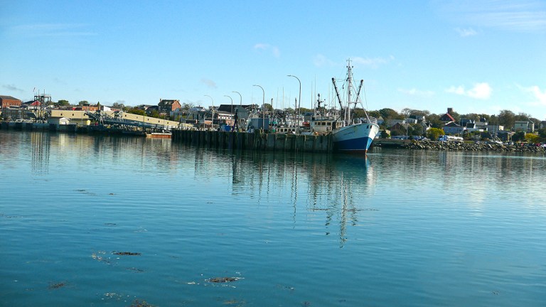 YAR_HarborBLOG