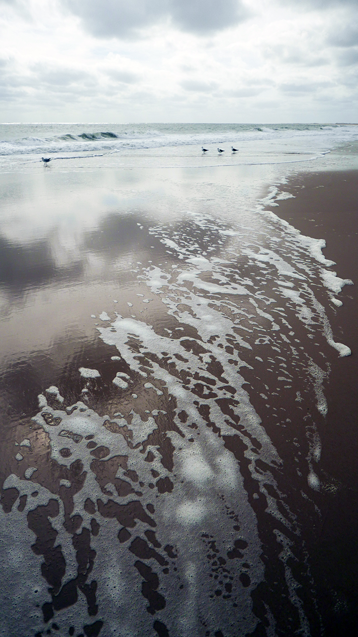 Assateague_foam_BLOG