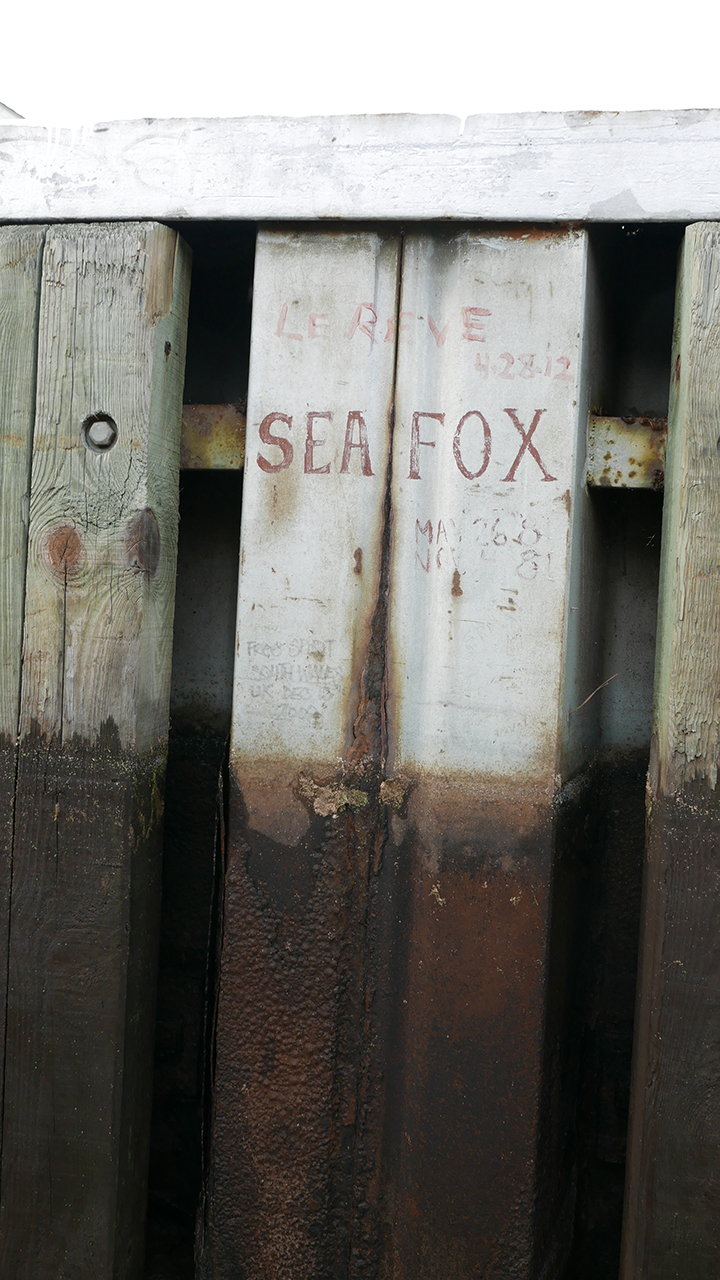 DSC_Seafox_BLOG