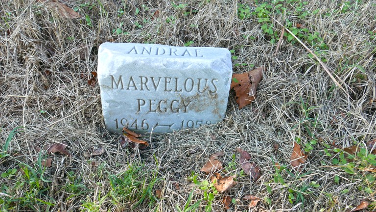 Hampton_MarvelousPeggy_BLOG