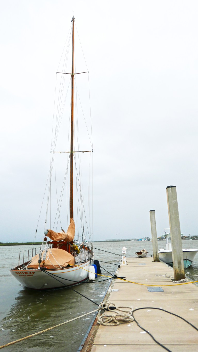 029_03 PDLI_shiris2 BLOG