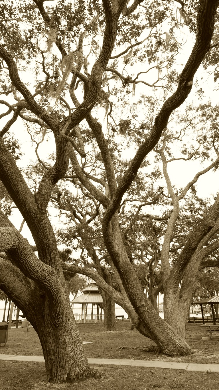 030_03_MELB_parkoaks_BLOG