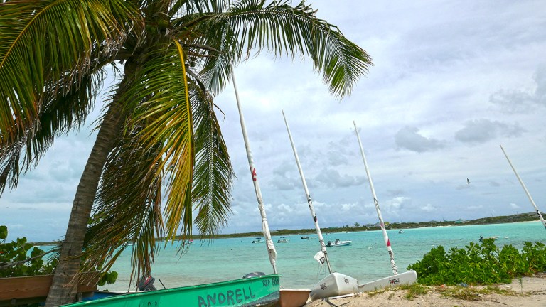 BlackPt_andrell BLOG