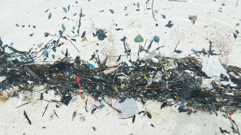 BlackPt_plastic BLOG