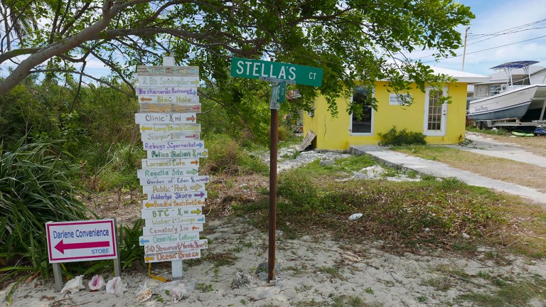 BlackPt_steallas BLOG