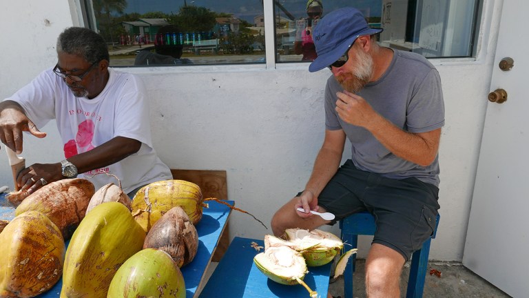 LitFarm_coconut BLOG