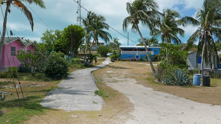 LitFarm_downtown BLOG