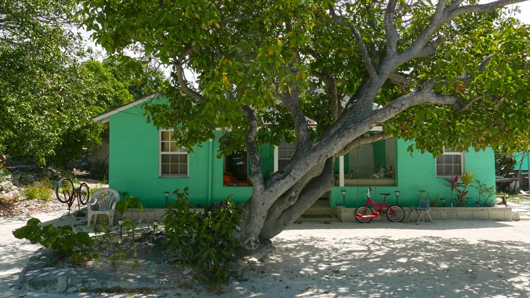 Stan_greenhouse BLOG