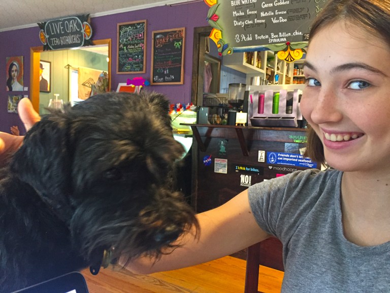 OCRACOKE2_lincoln BLOG