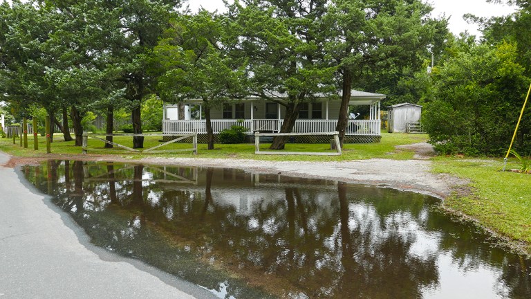 OCRACOKE_puddle2 BLOG