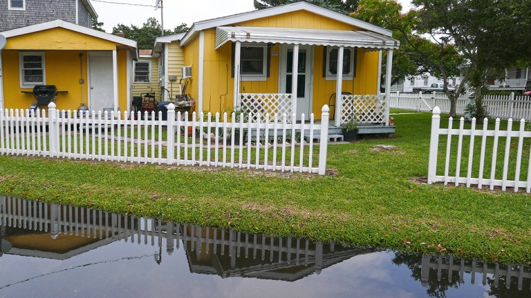 OCRACOKE_yellow BLOG